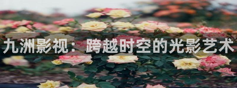 人人免费在线观看视频：九洲影视：跨越时空的光影艺术