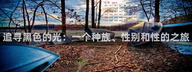 每日人人免费看视频：追寻黑色的光：一个种族、性别和性的之旅