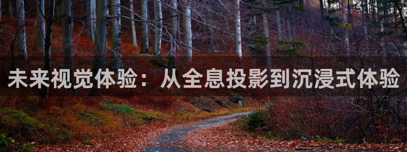 人人 草人人高清视频：未来视觉体验：从全息投影到沉浸式体验